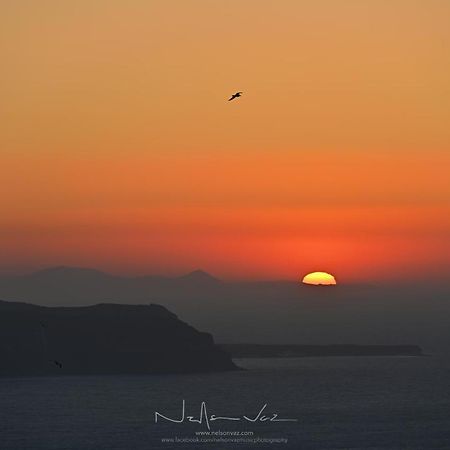 Delion View Hotel Fira  Dış mekan fotoğraf